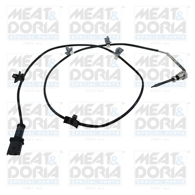 Sensor, exhaust gas temperature